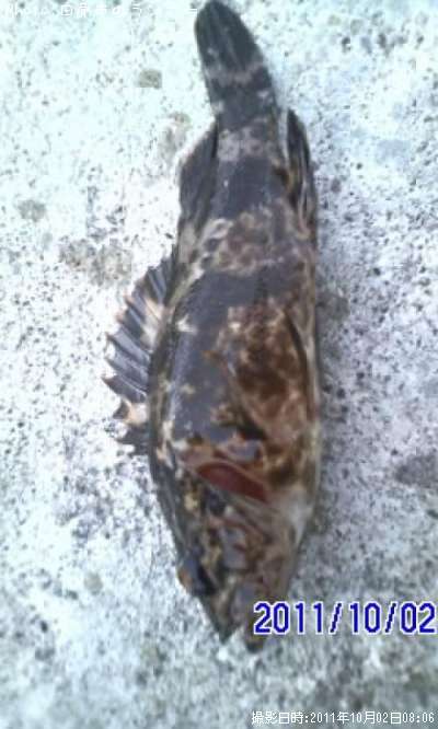 �����Υ���Х�