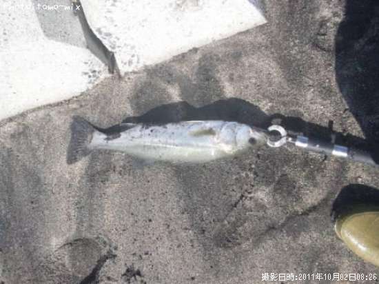 �����Х�