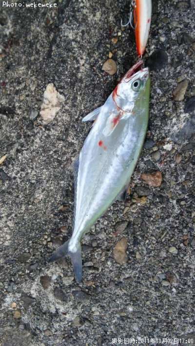 �������ĥ�