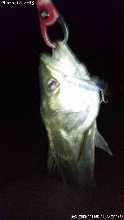 �����Х�