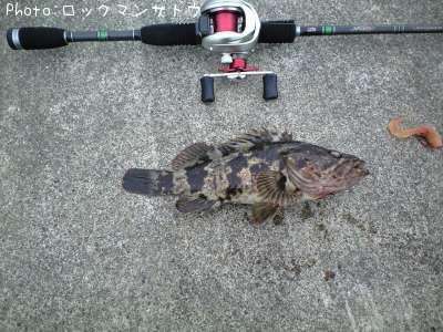 �٥å�������