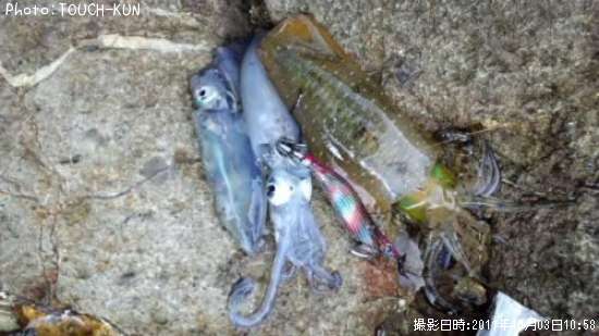 �����ꥤ��