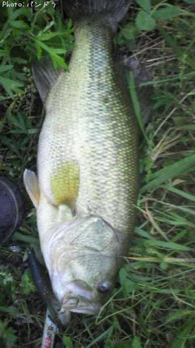 �֥�å��Х�