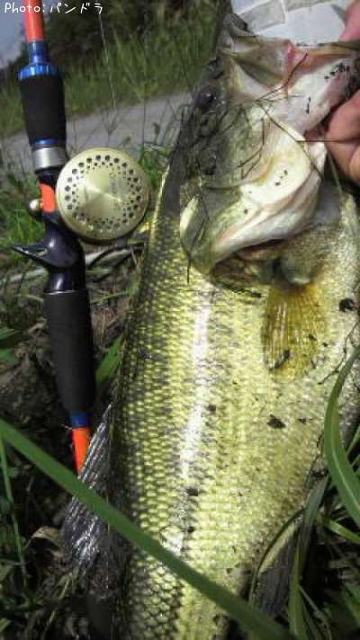 �֥�å��Х�