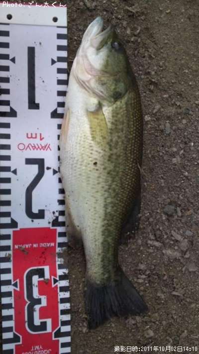 �֥�å��Х�