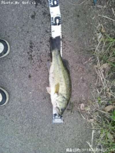 �֥�å��Х�