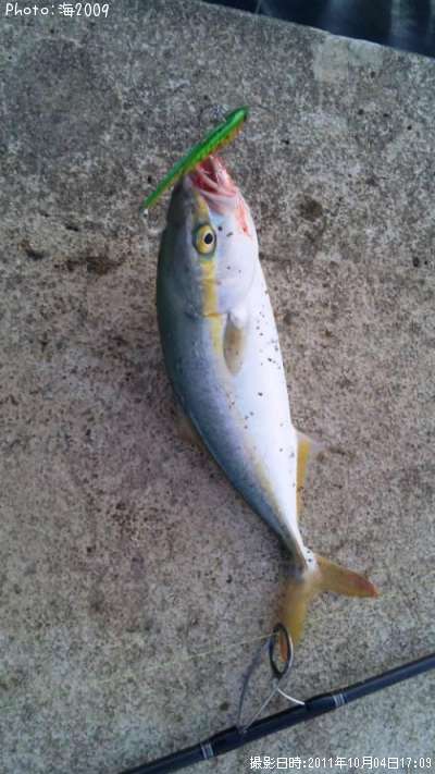 �����å�