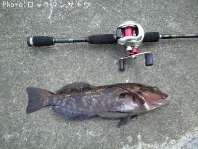 �����ʥ�