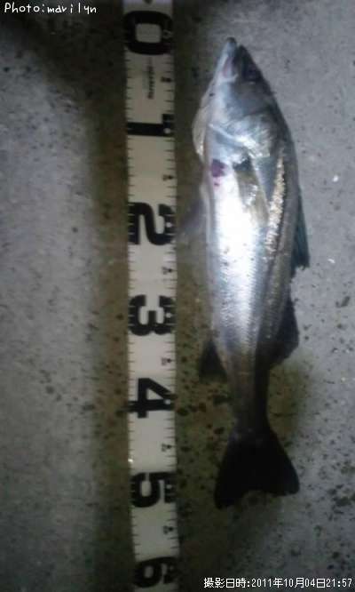 �����Х�