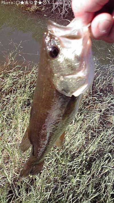 �֥�å��Х�