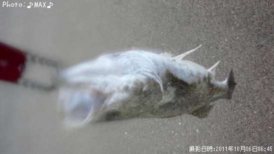 �����Х�