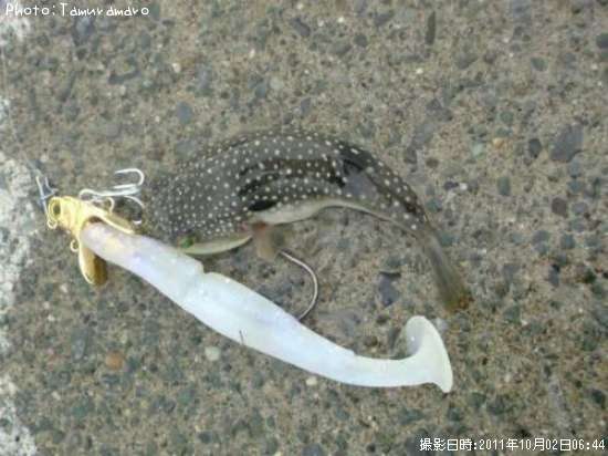 ���祦�����ե�