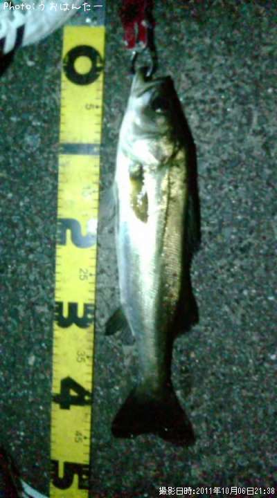 �����Х�