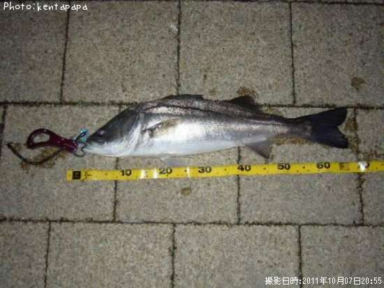 �����Х�