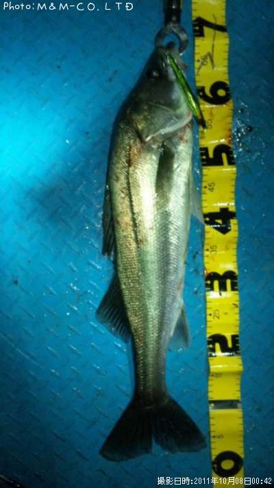 �����Х�