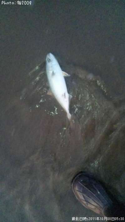 �����å�