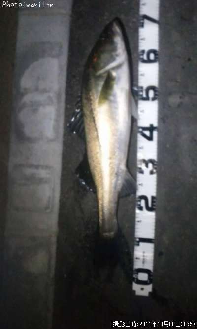 �����Х�