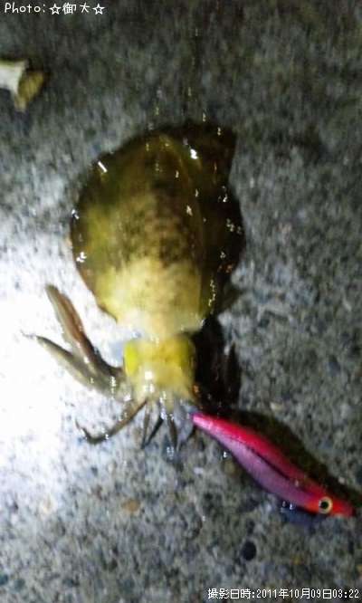 �����ꥤ��