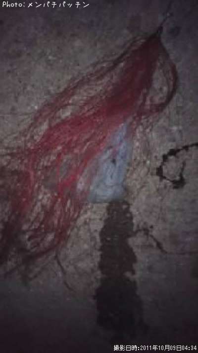 �����ꥤ��