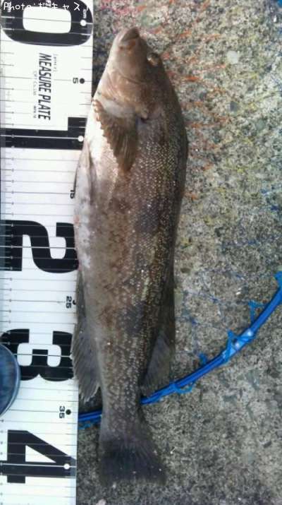 �����ʥ�