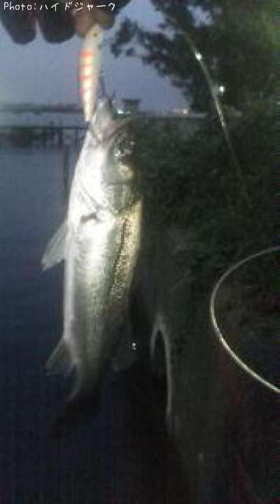 �����Х�