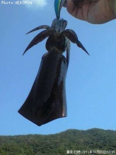 �����ꥤ��