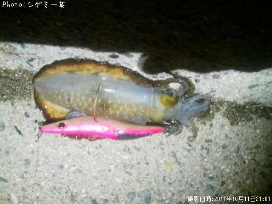 �����ꥤ��