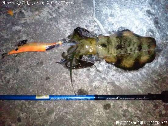 �����ꥤ��