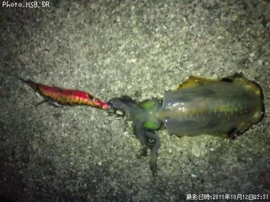 �����ꥤ��