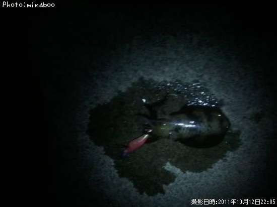 �����ꥤ��