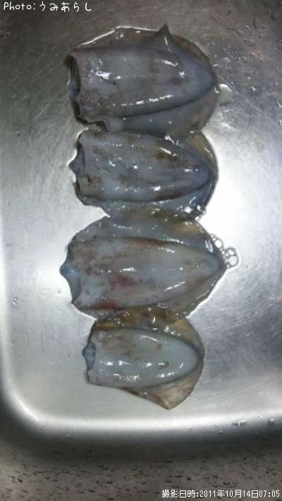 �����ꥤ��