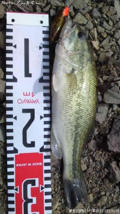 �֥�å��Х�