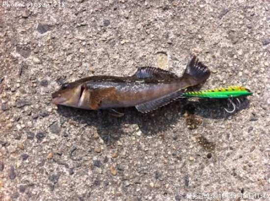 �����ʥ�