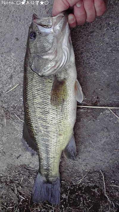 �֥�å��Х�