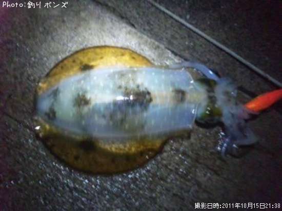 �����ꥤ��