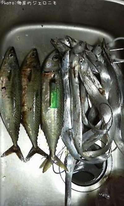 ������Ȼ�