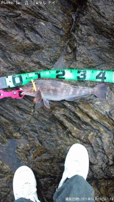 �����ʥ�