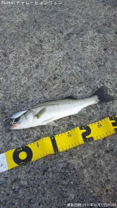 �����Х�