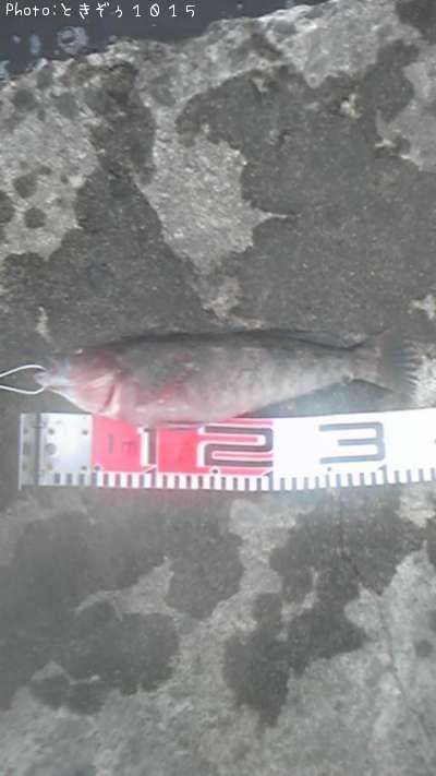 �����ʥ�