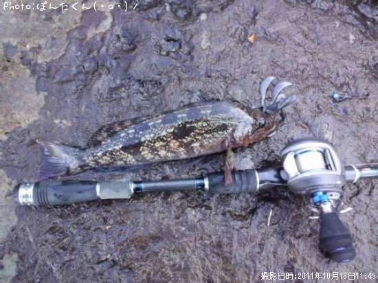 �����ʥ�