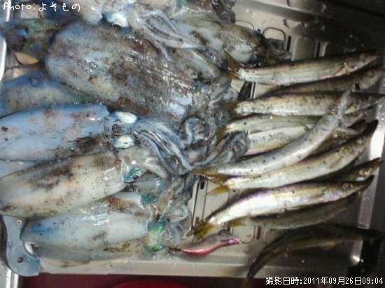 �����ꥤ��