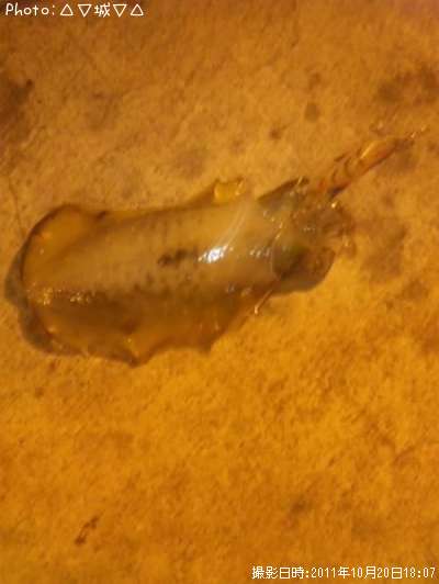 �����ꥤ��