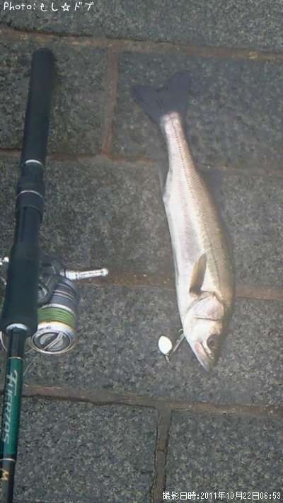 �����Х�