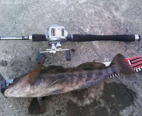 �����ʥ�