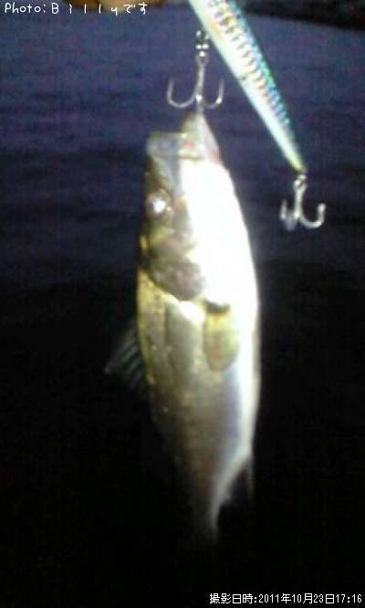 �����Х�