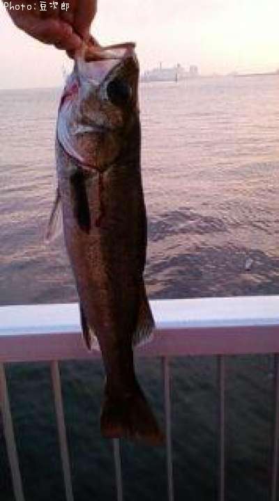 �����Х�