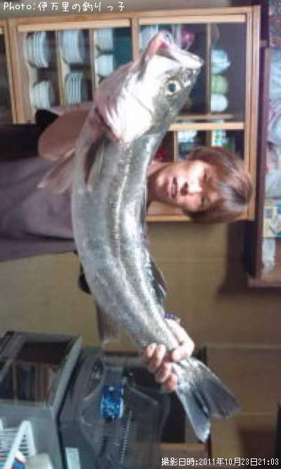 �����Х�