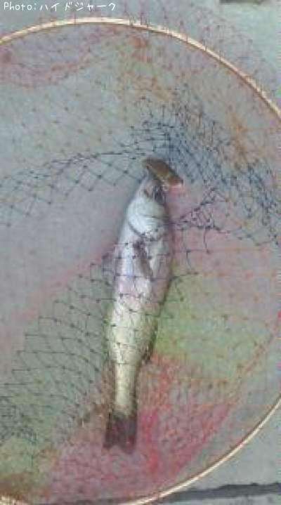 �����Х�