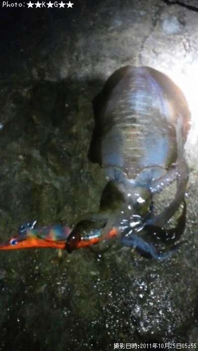 �����ꥤ��