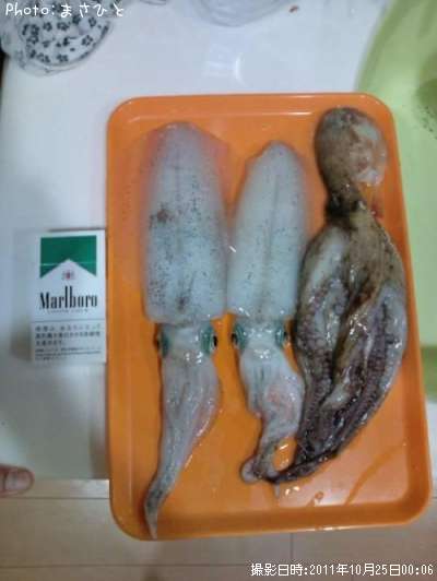 �����ꥤ��